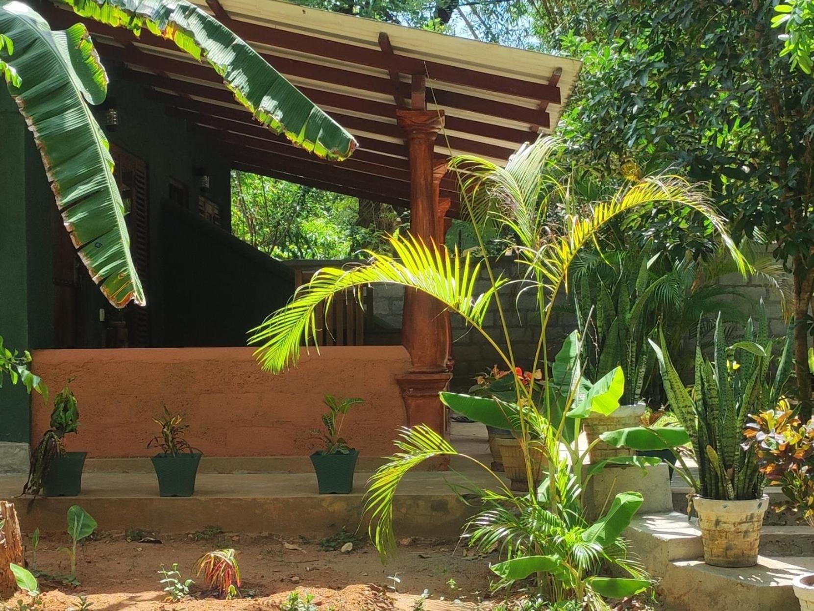 Jaana Guest Hotel Sigiriya Exterior photo